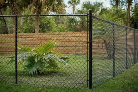 Black Chain Link Fenced Around Yard