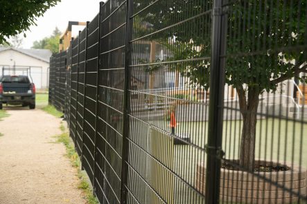 Welded Wire Fence