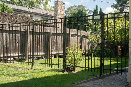 Ornamental Fence