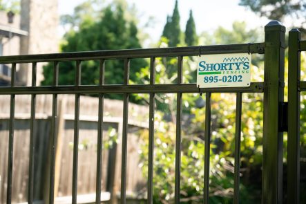 Ornamental Fence